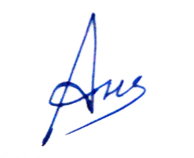 Aniruddh Solanki's Signature